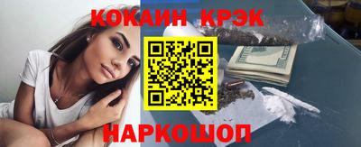 крисы Шелехов