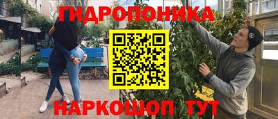 СК Ярославль