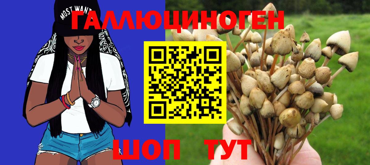 Галлюциногенные грибы MAGIC MUSHROOMS  Вход с VPN  Рославль 
